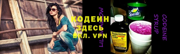 крисы Осинники