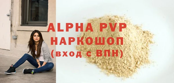PSILOCYBIN Елабуга