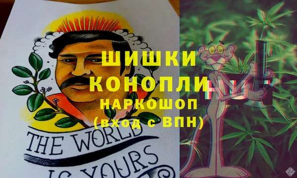 спиды Елизово