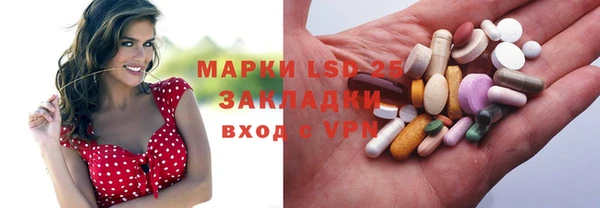 PSILOCYBIN Елабуга