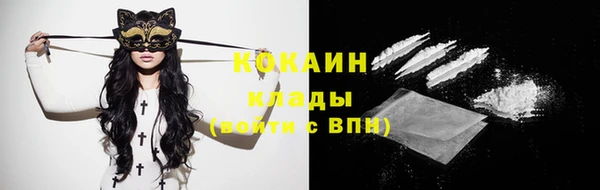 спиды Елизово