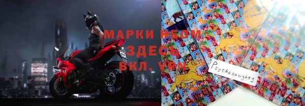 PSILOCYBIN Елабуга