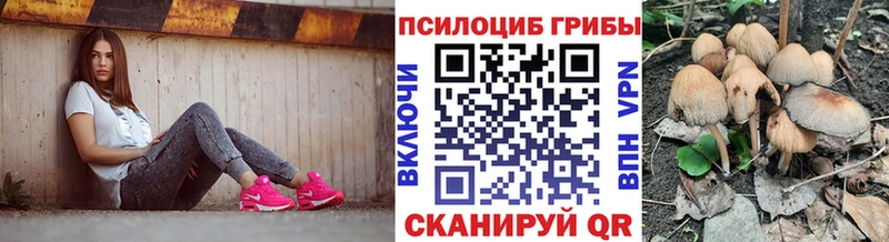 ОМГ ОМГ как войти  Пустошка  Галлюциногенные грибы Cubensis 