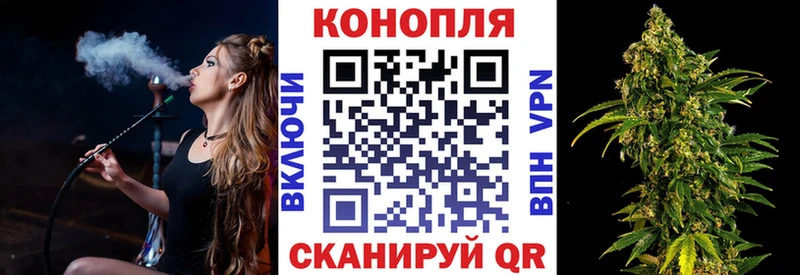 Бошки марихуана сатива  мориарти официальный сайт  Пустошка  купить наркотики сайты 